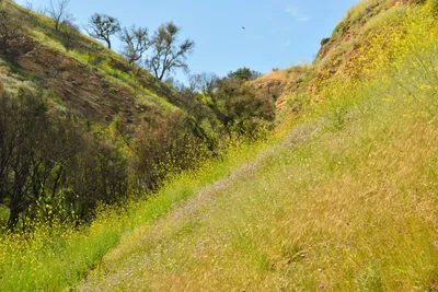 DSC_6389 (Large).JPG